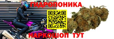 прущие крисы Славянск-на-Кубани