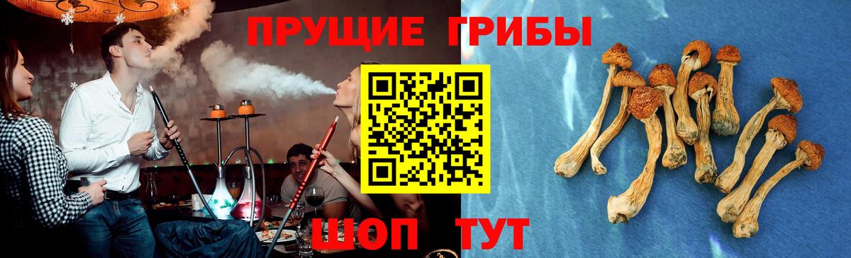 Псилоцибиновые грибы Cubensis  Вход с VPN  Псилоцибиновые грибы Cubensis  Учалы 